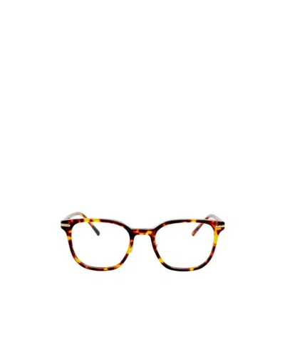 Linda Farrow Hopkin Optical In Dark Tortoiseshell In Green