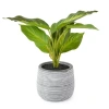 Linden Street 10in Golden Pothos Artificial Plant In Green