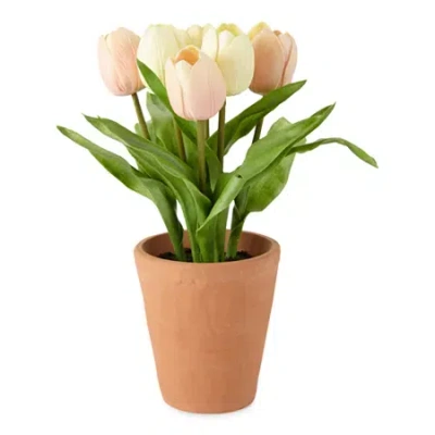 Linden Street 13" Tulip Floral Arrangement In Pink