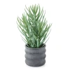 Linden Street 13.5in Aloe Artificial Plant In Green