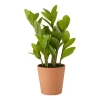 Linden Street 16" Zz Artificial Plant In Green