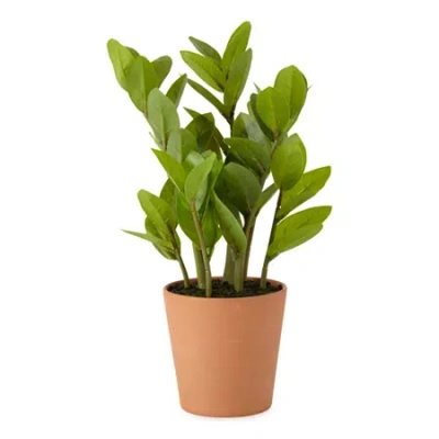 Linden Street 16" Zz Artificial Plant In Green