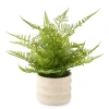 Linden Street 16.5in Fern Artificial Plant In Green