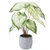 Linden Street 16.5in White Philodendron Artificial Plant In Green