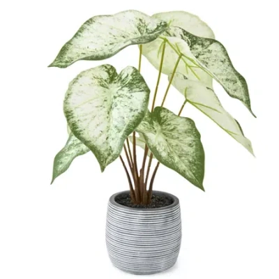 Linden Street 16.5in White Philodendron Artificial Plant In Green