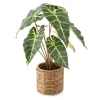 Linden Street 17in Alocasia Artificial Plant In Green