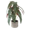 Linden Street 18.5in Polka Dot Begonia Artificial Plant In Green