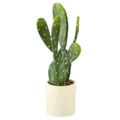 Linden Street 20in Potted Cactus Artificial Plant In Green