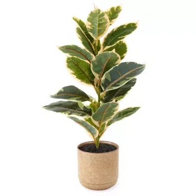 Linden Street 22in Varigated Rubber Artificial Plant In Green