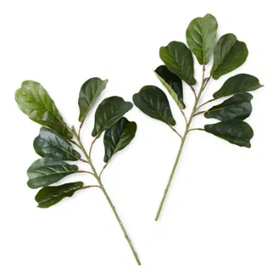 Linden Street 24" Fiddle Leaf Set Of 2 Vase Filler In Green