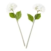 Linden Street 24" White Hydrangea 2-pc. Vase Filler In White