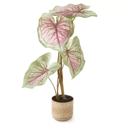 Linden Street 29in Candyland Caladium Artificial Plant In Green