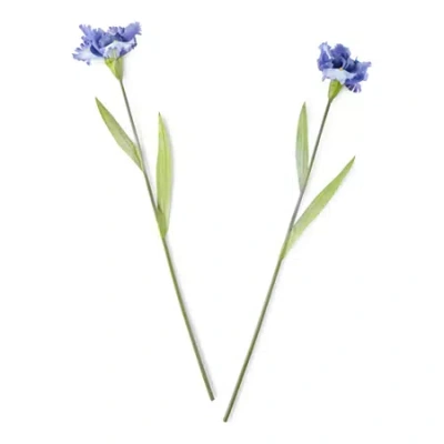 Linden Street 36" Iris 2-pc. Vase Filler In Blue