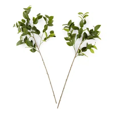 Linden Street 40" Lemmon Leaf 2-pc. Vase Filler In Green