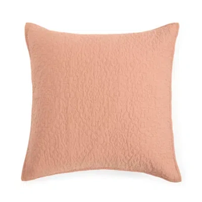 Linden Street Addison Euro Sham In Brown