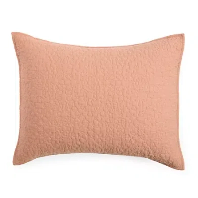 Linden Street Addison Pillow Sham In Brown