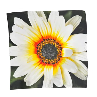 Lindsay Nicholas New York Women's African Daisy Bloom Silk Scarf In Black