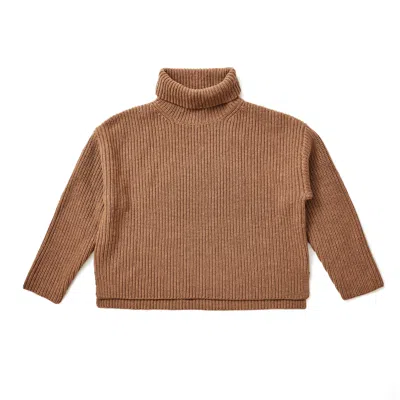 Lindsay Nicholas New York Women's Neutrals Textured Turtleneck In Fawn In Brown