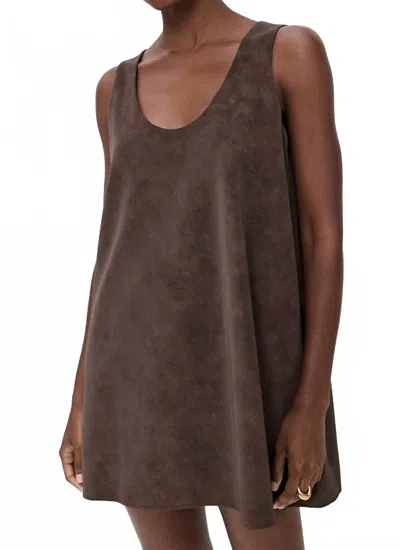 Line And Dot Alfie Mini Dress In Chocolate In Brown