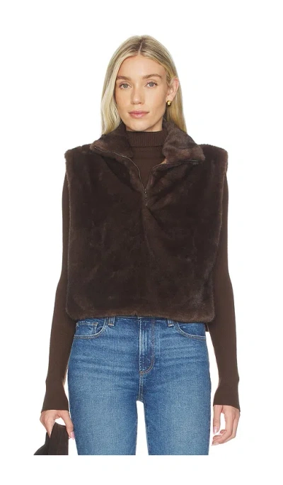 Line & Dot Dane Faux Fur Top In Brown