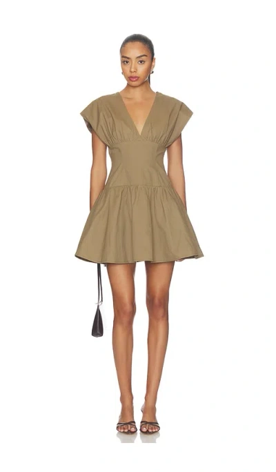 Line & Dot Hamish Mini Dress In Brown