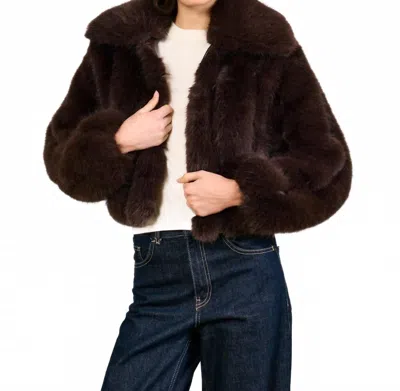 Line And Dot Jax Faux Fur Jacket In Dark Brown In Black
