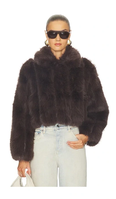 Line & Dot Jax Jacket In Brown