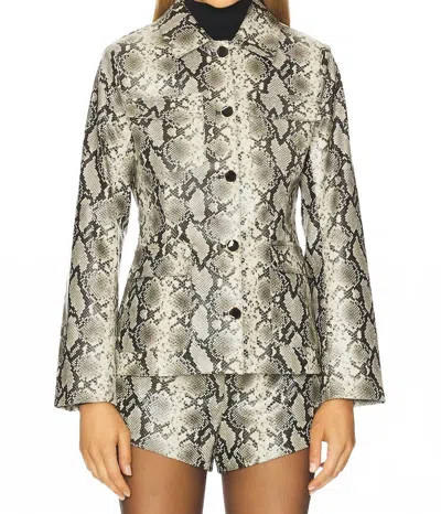 Line And Dot Python Jacket In Snake Print In Neutral