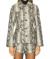 Line And Dot Python Jacket In Snake Print In Silver