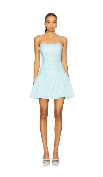 Line & Dot Suree Gingham Dress In Blue
