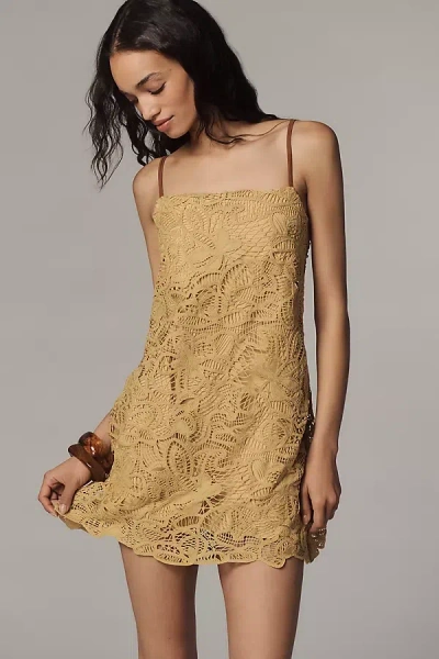 Line & Dot Tansy Lace Square-neck Mini Dress In Yellow