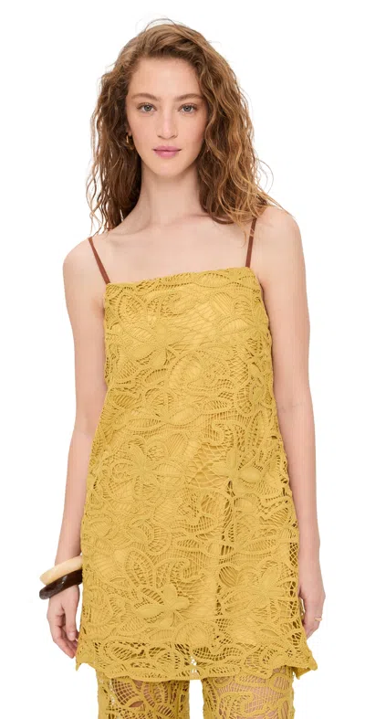 Line & Dot Tansy Tunic Dijon In Yellow