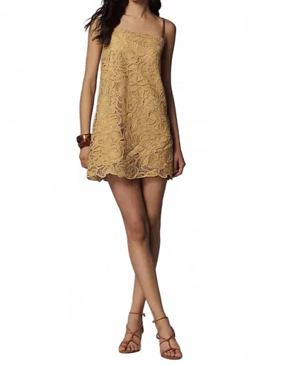 Line And Dot Tansy Tunic Mini Dress In Dijon In Brown