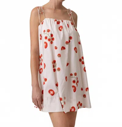 Line And Dot Tomato Patch Mini Dress In White Multi