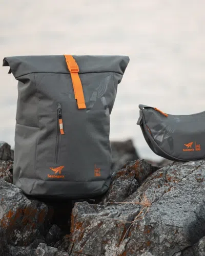 Line In The Sand Sealegacy Edition Rolltop Easy Bag In Grey In Gray