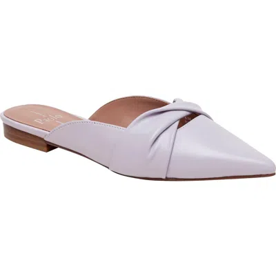 Linea Paolo Agneta Mule
