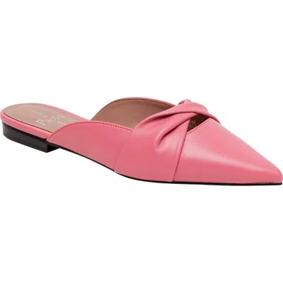 Linea Paolo Agneta Mule