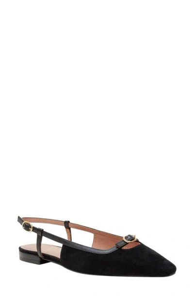 Linea Paolo Cassidy Pointed Toe Slingback Flat In Black