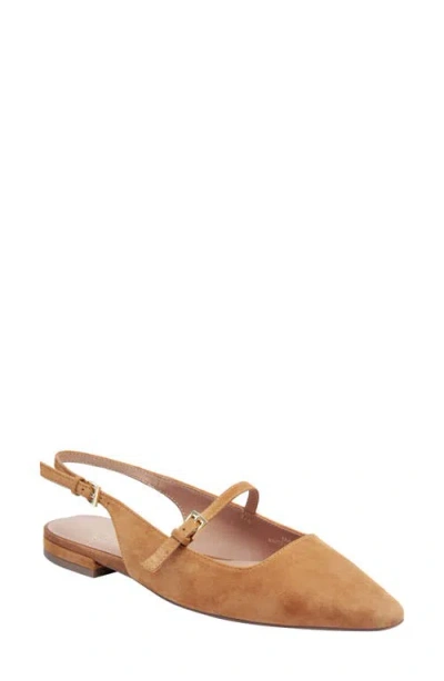 Linea Paolo Celeste Slingback Pointed Toe Flat In Brown