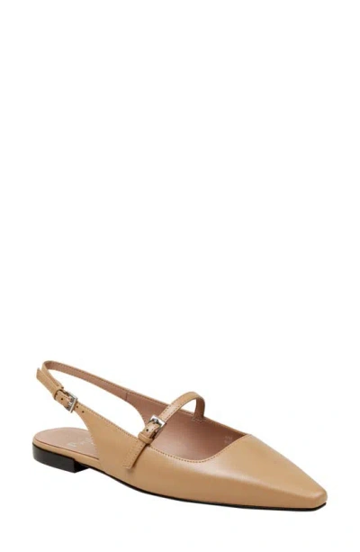 Linea Paolo Celeste Slingback Pointed Toe Flat In Desert