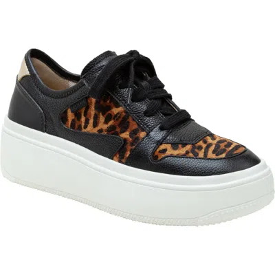 Linea Paolo Gains Genuine Calf Hair Platform Sneaker In Black/ Cognac-black