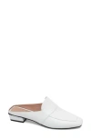 Linea Paolo Galina Mule