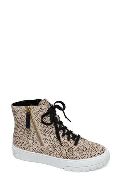 Linea Paolo Gio 2 Sneaker In Beige/black