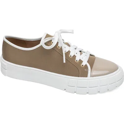 Linea Paolo Kalaia Platform Sneaker In Khaki/lotus