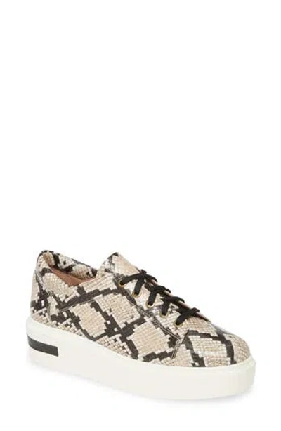 Linea Paolo Kendra Platform Sneaker In Brown