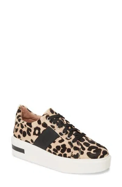 Linea Paolo Kim Sneaker In White/black Calf Hair