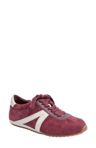 Linea Paolo Kova Sneaker In Burgundy