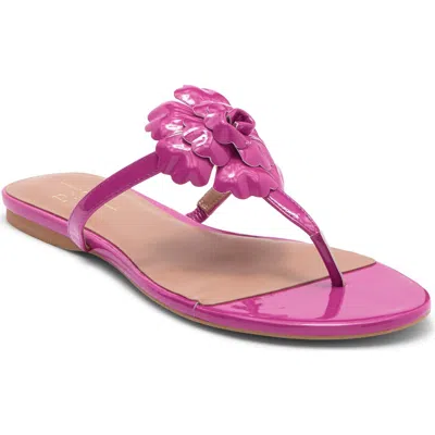 Linea Paolo Laurel Flower Sandal
