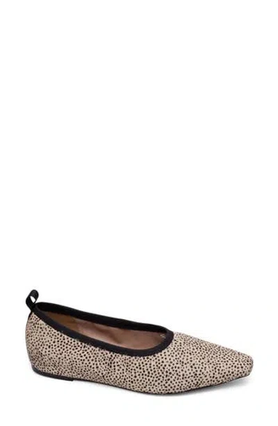 Linea Paolo Meghan Genuine Calf Hair Flat In Beige/black Calf Hair