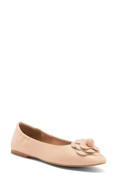 Linea Paolo Nola Floral Ballet Flat In Blush Pink